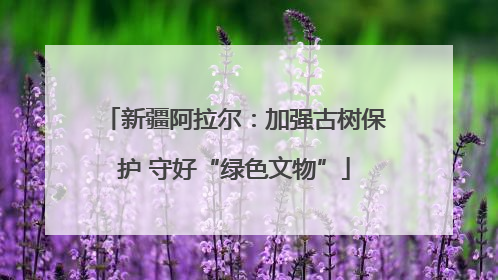 新疆阿拉尔：加强古树保护 守好“绿色文物”