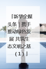 新华全媒头条｜携手推动绿色发展 共筑生态文明之基（1）