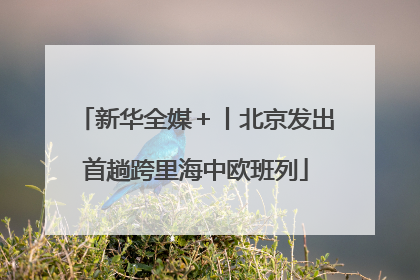 新华全媒＋丨北京发出首趟跨里海中欧班列