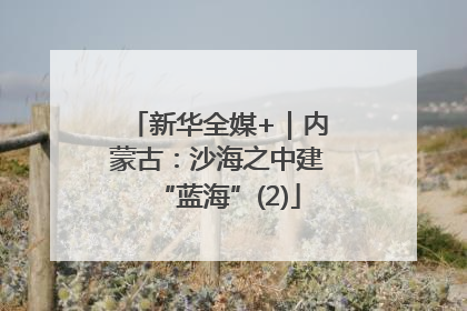 新华全媒+｜内蒙古：沙海之中建“蓝海”(2)