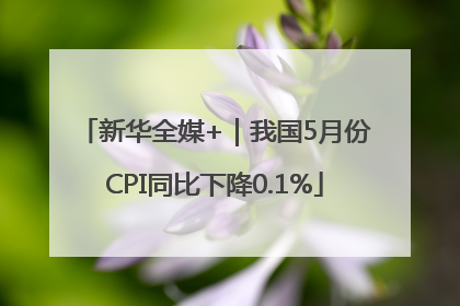 新华全媒+｜我国5月份CPI同比下降0.1%