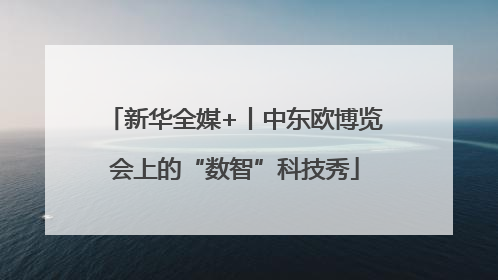 新华全媒+丨中东欧博览会上的“数智”科技秀