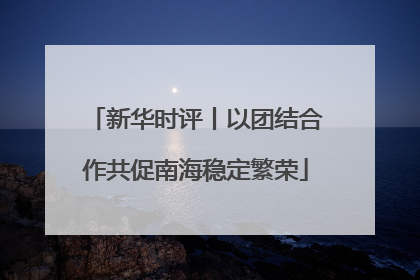 新华时评丨以团结合作共促南海稳定繁荣