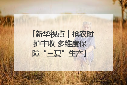 新华视点｜抢农时 护丰收 多维度保障“三夏”生产