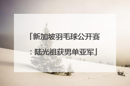 新加坡羽毛球公开赛：陆光祖获男单亚军