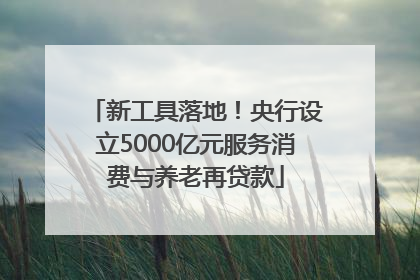 新工具落地！央行设立5000亿元服务消费与养老再贷款