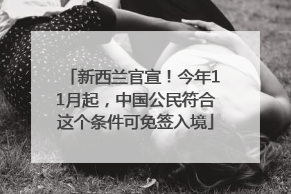 新西兰官宣！今年11月起，中国公民符合这个条件可免签入境
