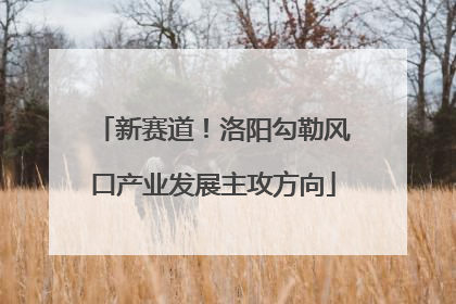 新赛道！洛阳勾勒风口产业发展主攻方向