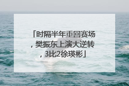 时隔半年重回赛场，樊振东上演大逆转，3比2徐瑛彬