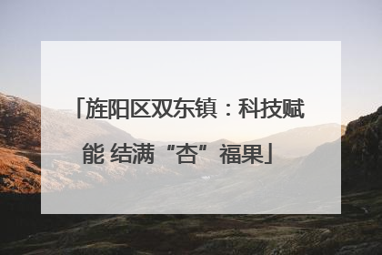 旌阳区双东镇：科技赋能 结满“杏”福果
