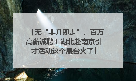 无“非升即走”、百万高薪诚聘！湖北赴南京引才活动这个展台火了