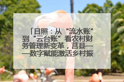 日照：从“流水账”到“云台账”看农村财务管理新变革，莒县——数字赋能激活乡村振兴“一池春水”