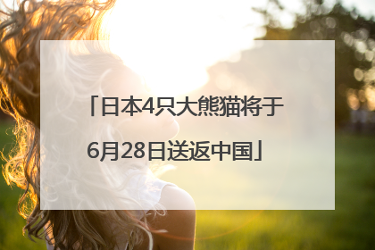 日本4只大熊猫将于6月28日送返中国