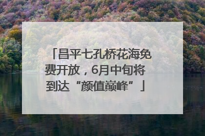 昌平七孔桥花海免费开放，6月中旬将到达“颜值巅峰”