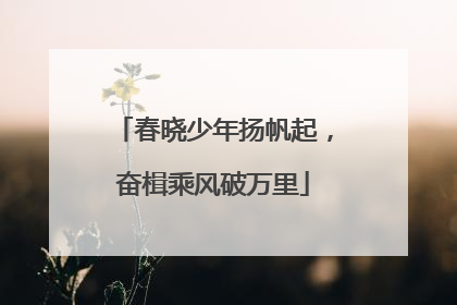 春晓少年扬帆起，奋楫乘风破万里