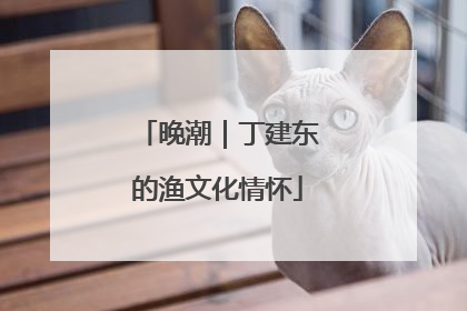 晚潮｜丁建东的渔文化情怀