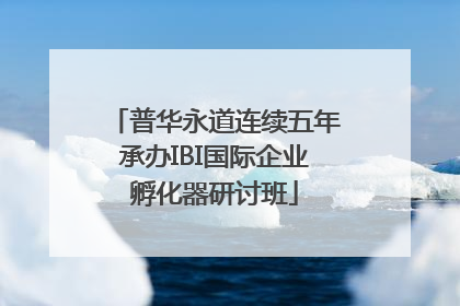 普华永道连续五年承办IBI国际企业孵化器研讨班