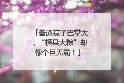 普通粽子巴掌大，“横县大粽”却像个巨无霸！
