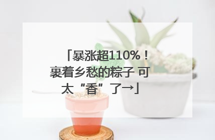 暴涨超110%！裹着乡愁的粽子 可太“香”了→