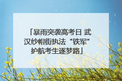 暴雨突袭高考日 武汉纱帽街执法“铁军”护航考生逐梦路