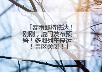 暴雨即将抵达！刚刚，厦门发布预警！多地列车停运！景区关闭！