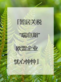 暂居关税“喘息期” 欧盟企业忧心忡忡