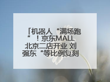 机器人“满场跑”！京东MALL北京二店开业 刘强东“等比例复刻”能否带火线下“618”？