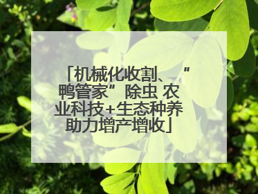 机械化收割、“鸭管家”除虫 农业科技+生态种养助力增产增收