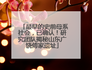 最早的史前母系社会，已确认！研究团队揭秘山东广饶傅家遗址