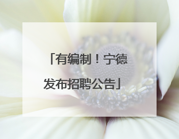 有编制！宁德发布招聘公告