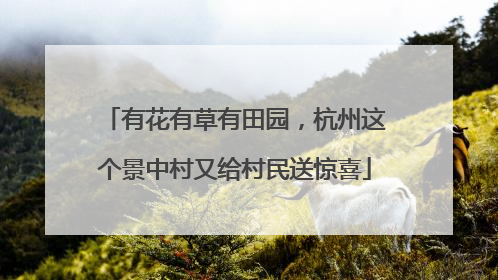 有花有草有田园，杭州这个景中村又给村民送惊喜