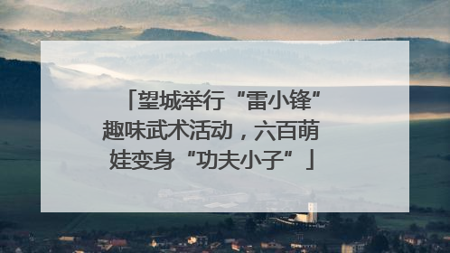 望城举行“雷小锋”趣味武术活动，六百萌娃变身“功夫小子”