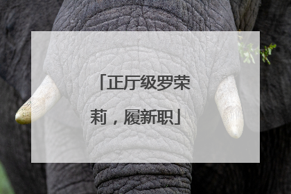 正厅级罗荣莉，履新职