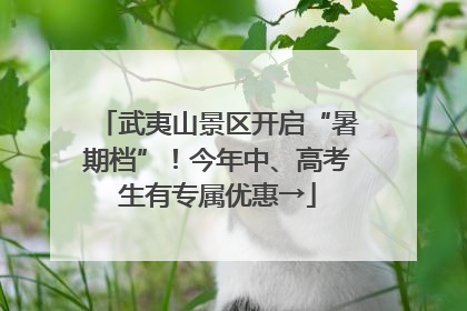 武夷山景区开启“暑期档”！今年中、高考生有专属优惠→