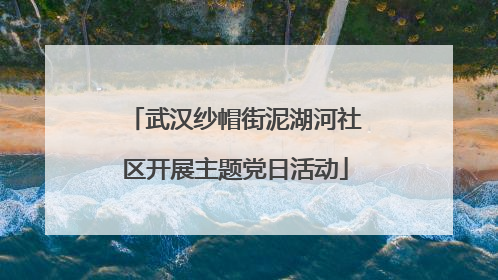 武汉纱帽街泥湖河社区开展主题党日活动