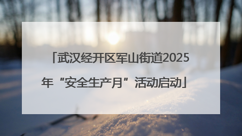 武汉经开区军山街道2025年“安全生产月”活动启动