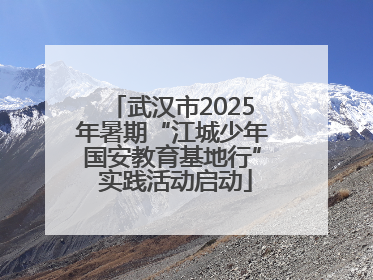 武汉市2025年暑期“江城少年国安教育基地行” 实践活动启动