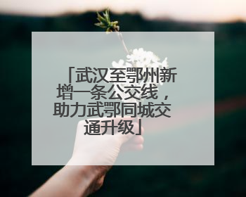 武汉至鄂州新增一条公交线，助力武鄂同城交通升级