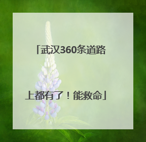 武汉360条道路上都有了！能救命