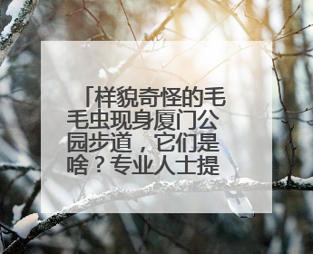 样貌奇怪的毛毛虫现身厦门公园步道，它们是啥？专业人士提醒→