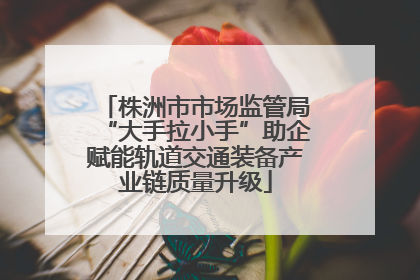 株洲市市场监管局“大手拉小手”助企赋能轨道交通装备产业链质量升级