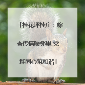 桂花坪桂庄：粽香传情暖邻里 党群同心筑和谐