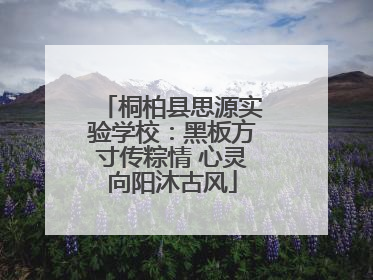 桐柏县思源实验学校：黑板方寸传粽情 心灵向阳沐古风