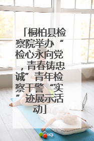 桐柏县检察院举办“检心永向党，青春铸忠诚”青年检察干警“实”迹展示活动