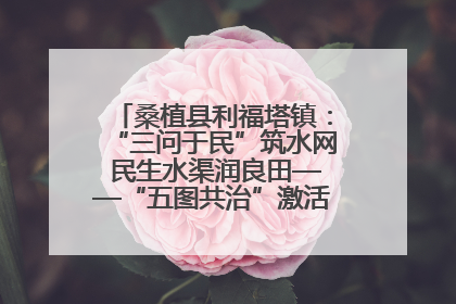 桑植县利福塔镇：“三问于民”筑水网 民生水渠润良田——“五图共治”激活基层治理新动能