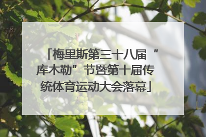 梅里斯第三十八届“库木勒”节暨第十届传统体育运动大会落幕