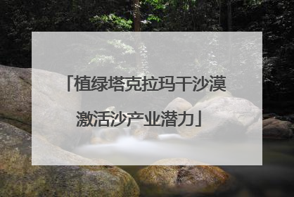 植绿塔克拉玛干沙漠 激活沙产业潜力