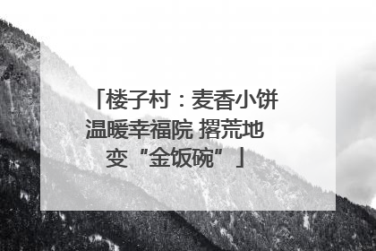 楼子村：麦香小饼温暖幸福院 撂荒地变“金饭碗”