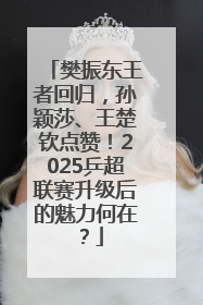 樊振东王者回归，孙颖莎、王楚钦点赞！2025乒超联赛升级后的魅力何在？