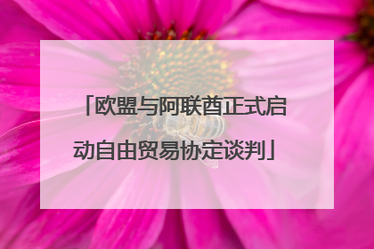 欧盟与阿联酋正式启动自由贸易协定谈判